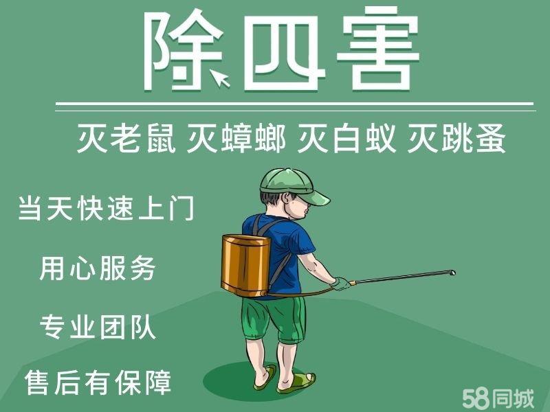 除四害服务